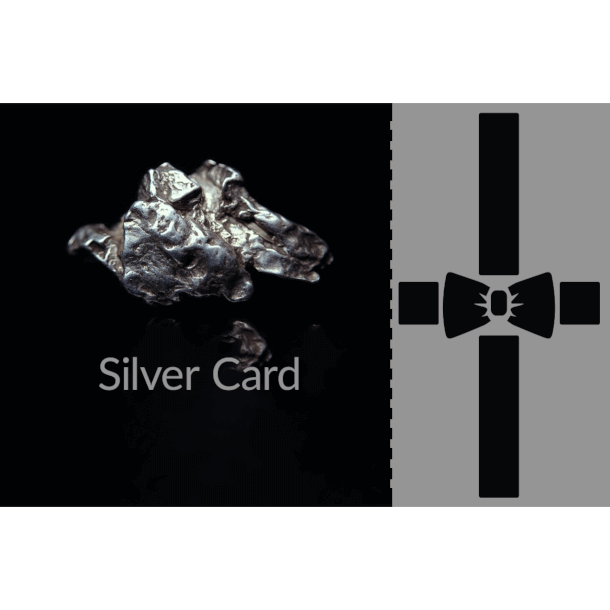 Vaultskin Silver gift card