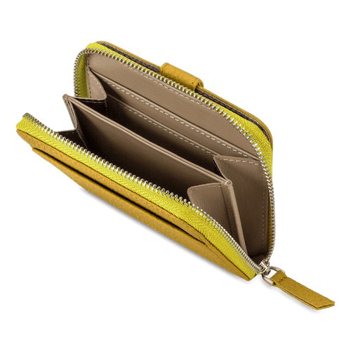 Secure travel companion wallet
