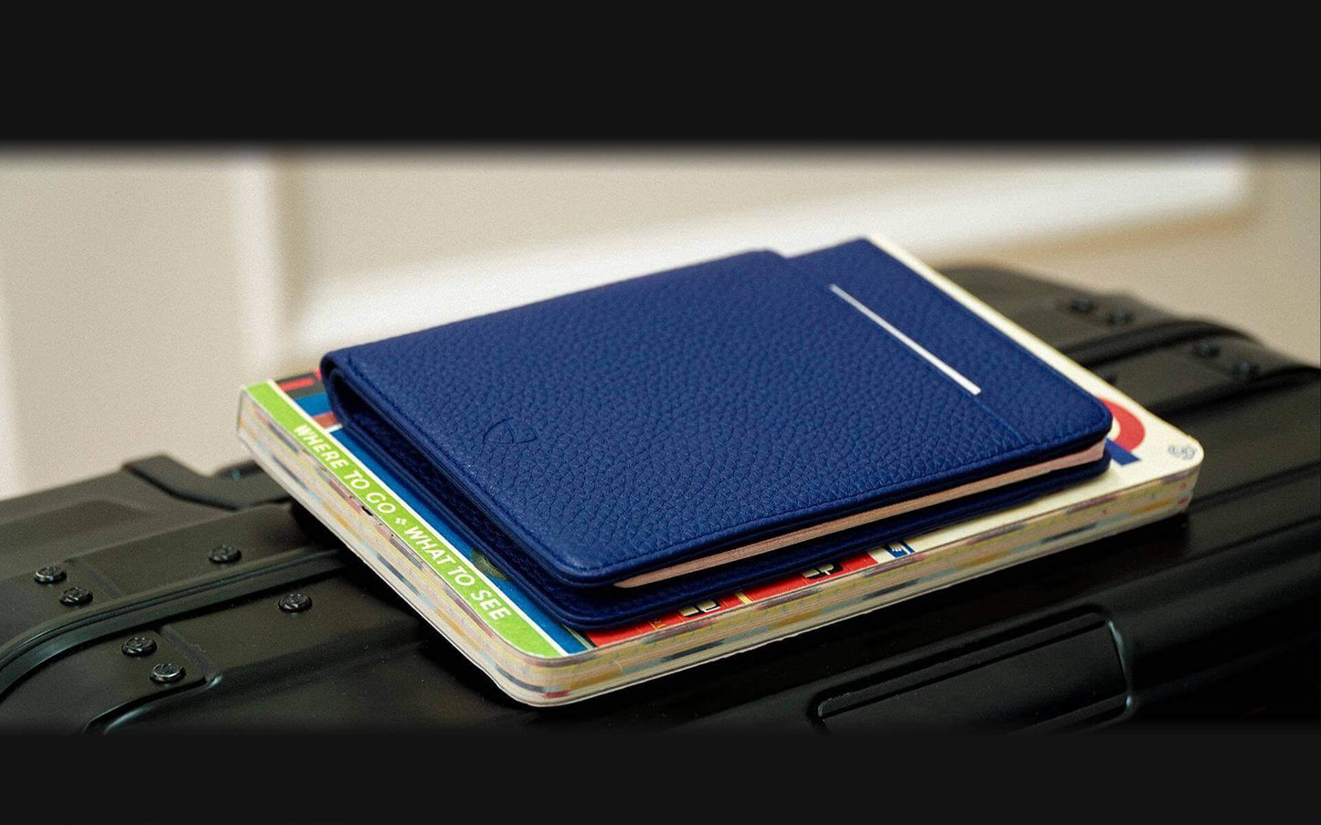 Sophisticated traveler's passport holder