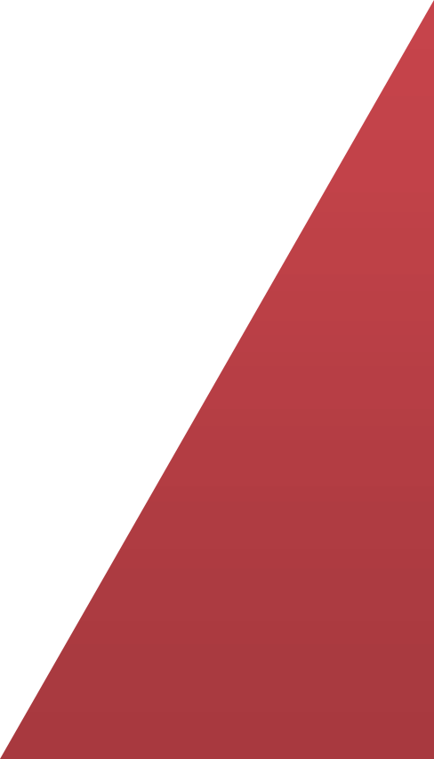 VAULTCARD RFID Blocking Card background image red